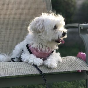 Meet your Posher, Catherine